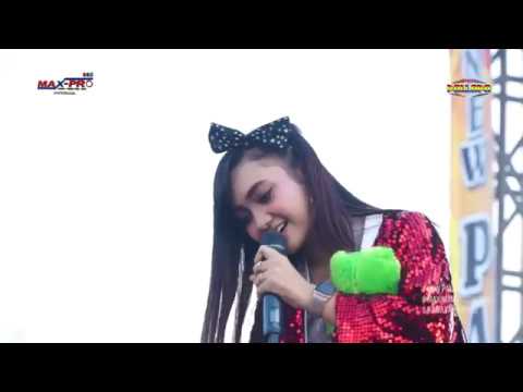 JIHAN AUDY - HARUSNYA AKU (New Pallapa)