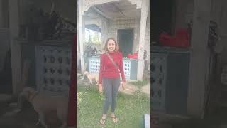 Download Lagu (Day 1) roofing repair and mower MP3