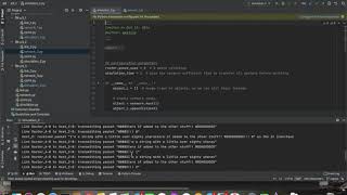 Networks CSCI 466 PA3