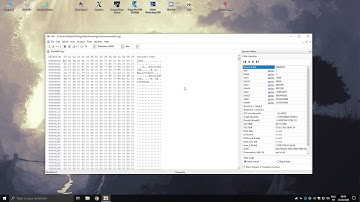 Exanima - HxD | How to change character + NPC names in Arena (Hex editor)