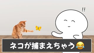 みんなの虫嫌いな人あるあるが分かりすぎてやばいwww【ツッコミ】【あるある】