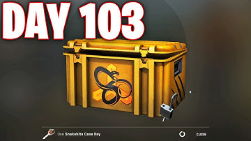 Opening a CS:GO case every day (Day 103)