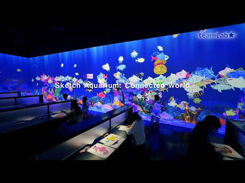 Sketch Aquarium: Connected World