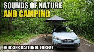 Sounds of Nature at Hoosier National Forest [ASMR, Roof Top Tent, Jetboil &amp; Coffee, Birds Chirping]