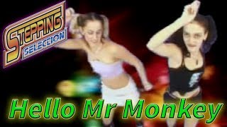 Stepping Selection HD - Hello Mr. Monkey
