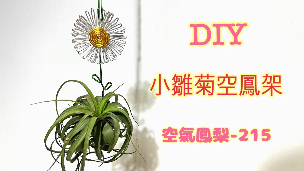 DIY wire 教你如何使用彩色鋁線製作小雛菊空鳳花架How to make a small