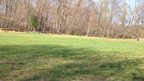 RC18B Team Associated RC Car Test Drive