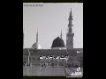 لا اله إلا الله وسيلتي رسول الله