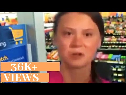 greta-thunberg-climate-girl-how-dare-you-funny-meme-2019