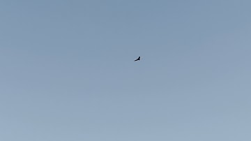 Fx79 big bertha chuck transplant