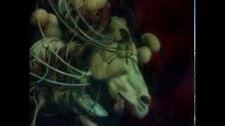 Panna a Netvor - Opening (Petr Hapka - Titulní varhany) - 1978