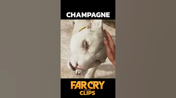 THE ONLY REASON YOU SHOULD PLAY FAR CRY 6