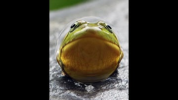 minecraft logic that make 0 sense part 1