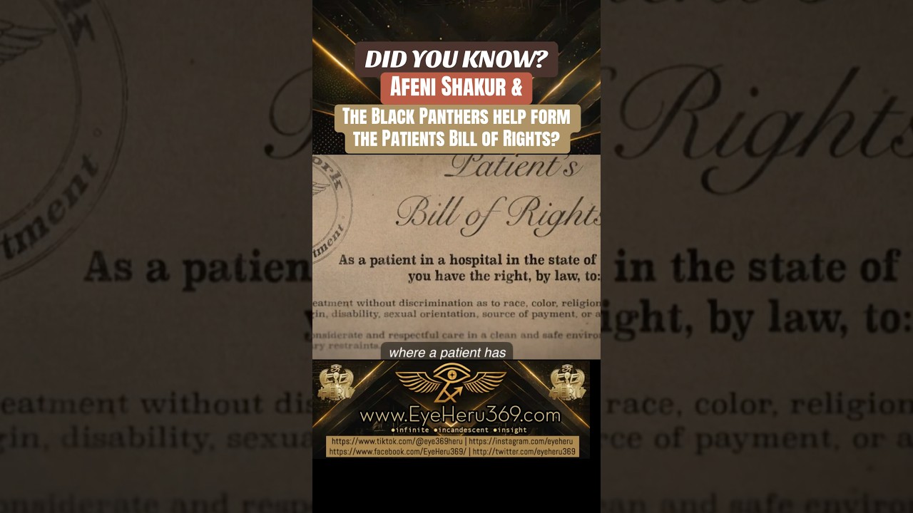 Guarda Did you know The Black Panthers helped form the Patient Bill of Rights? su YouTube Guarda Did you know The Black Panthers helped form the Patient Bill of Rights? su YouTube