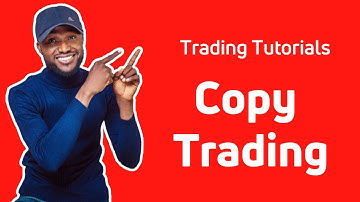 How to Use Copy Trading to Help You Gain Profit.
