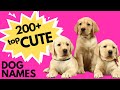 Top 200+ CUTE Dog Names | New Puppy Names | Super Cute