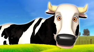 Quando le mucche producono il latte?