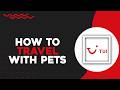 How To Travel with Pets on TUI Airways (Quick Tutorial)