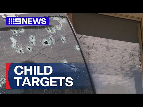 Gunman opens fire on NSW coast | 9 News Australia