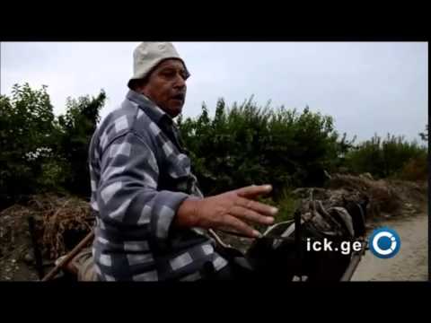 პრობლემები არი