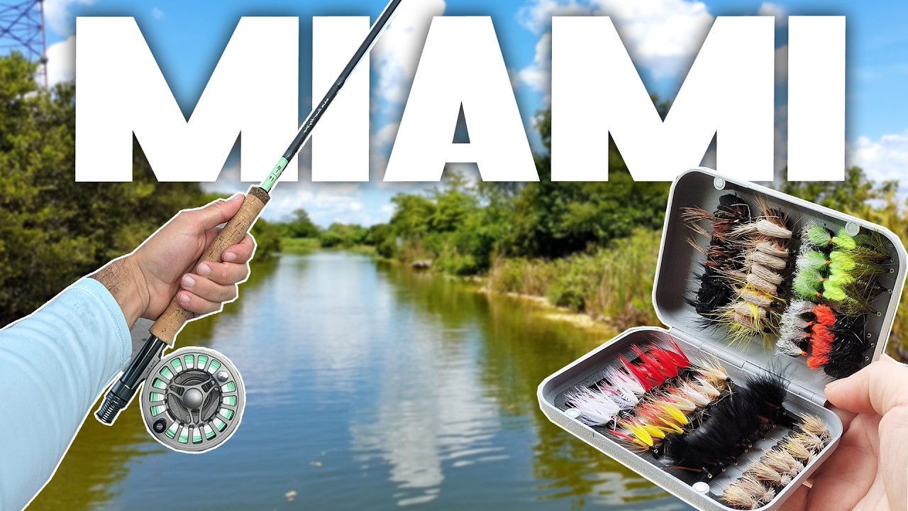 Fly Fishing All Around Miami