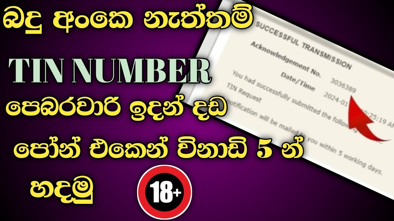 How To Rejister For Tax Identification Number(TIN) Sri Lanka Sinhala