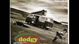Dodgy - Homegrown - Grassman chords