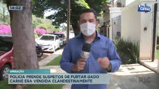 Operação: polícia prende suspeitos de furtar gado Operação: polícia prende suspeitos de furtar gado