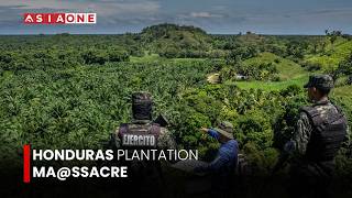 At Least 19 K*lled in Mass Sh#oting at Palm Plantation in Northern Honduras | Asia One News