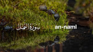 Surah An Naml سورة النمل في شيخ حن...