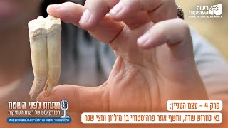 עצם העניין: בא לחרוש שדה, וחשף אתר פרהיסטורי בן מיליון וחצי שנה