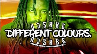Dj Sake - Lucky Dube Different Colours
