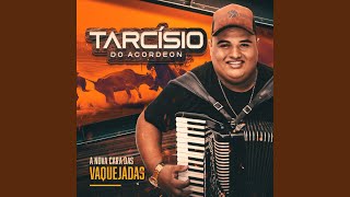 Lembrei de Você