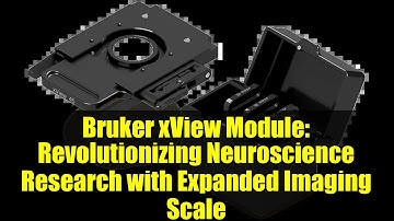 Bruker xView Module: Revolutionizing Neuroscience Research with Expanded Imaging Scale