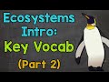 Ecosystem Vocabulary Quiz