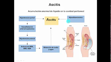 ¿Cuáles son las funciones del sistema hepatico?