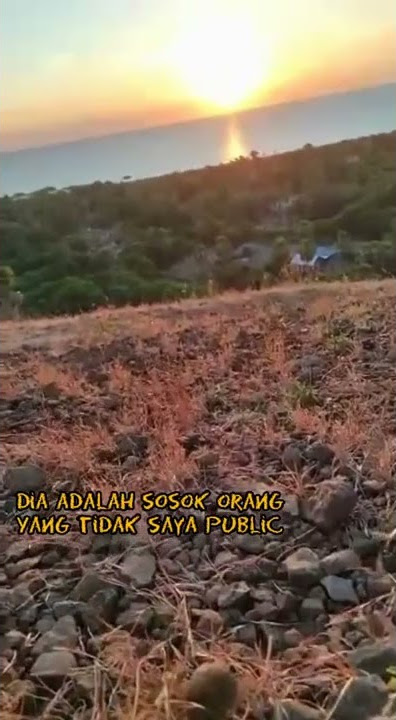 Story wa Hari bahagia atta aurel