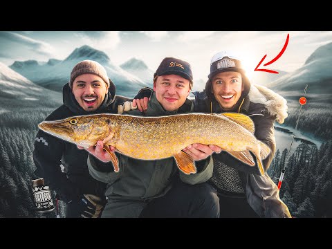 VI FISKAR MED BAITBOX - Isfiske efter stora gäddor!