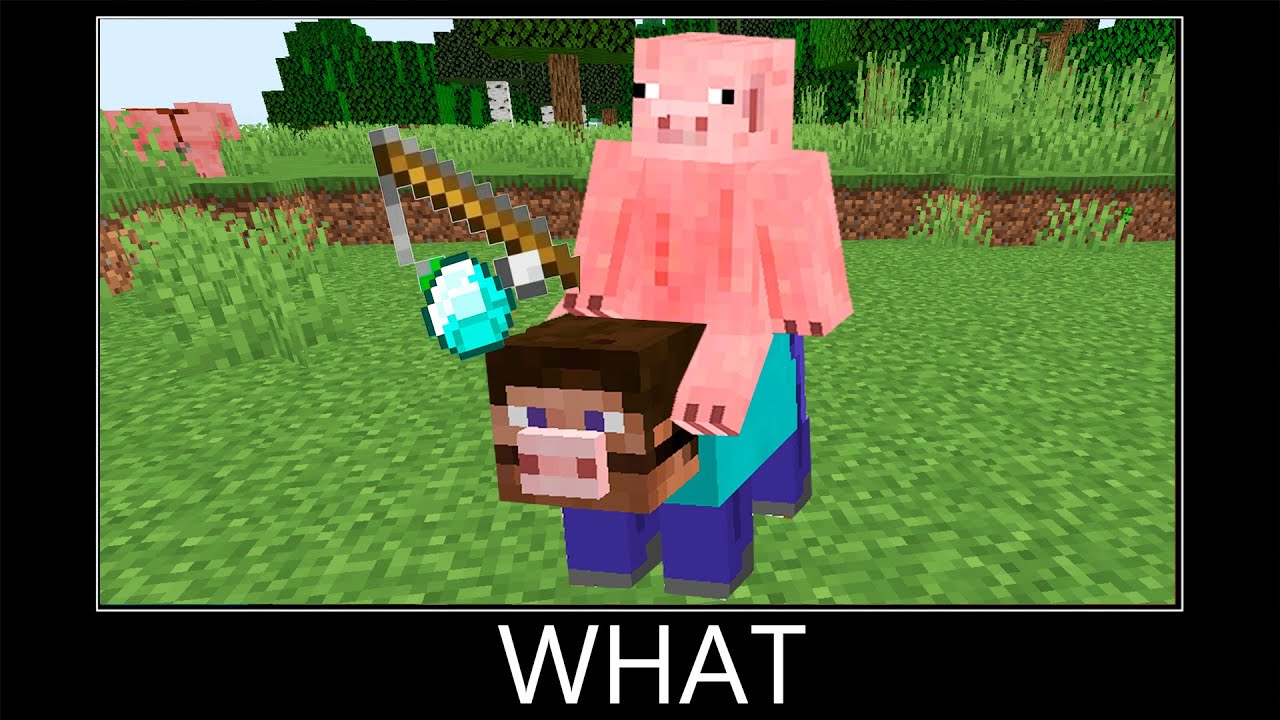 MINECRAFT WAIT WHAT MEME #10 - YouTube