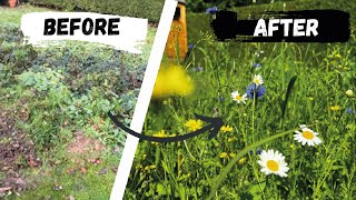 Wildflower Patch And Wildlife Pond Install | Bringing Bees, Birds and Butterflies To The Garden 🐝🐦🦋 by Acres Lawn Care 5,821 views 9 months ago 9 minutes, 1 second