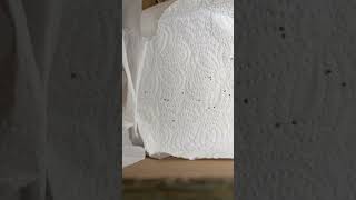 60 Adet Ipek Böceğimin Hepsi Yumurtadan Çıkamayacak Maalesef