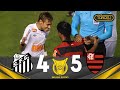 Santos 4-5 Flamengo | Brasileiro 2011 Compacto