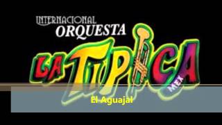 Video thumbnail of "El Aguajal - Rodolfo y La Tipica"