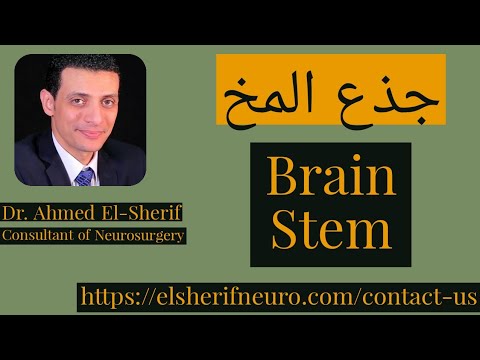مواقع أورام الدماغ | أمراض جذع المخ | د أحمد الشريف #45