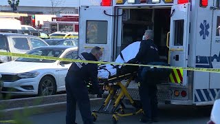 Victims in Hingham Apple SUV crash suffered head, limb injuries