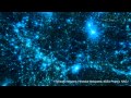 ダークマターハローの形成・進化（II. 大規模構造の形成）ver.2