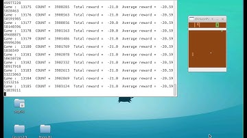 Pong Experimental Result