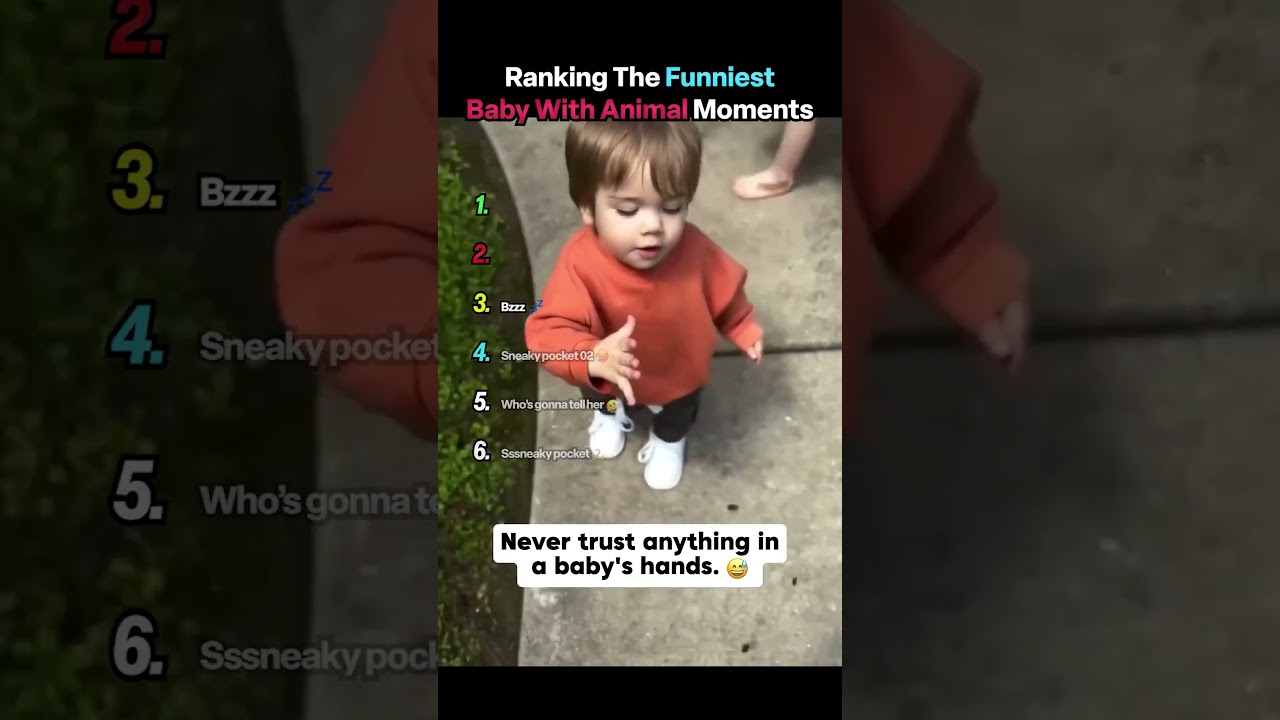 Ranking The Funniest Baby With Animals Moments #usa