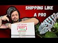 How To Ship A Reptile 2022