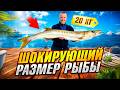 ВСЯ ПРАВДА о Барракуде! ► Как за 3 ЧАСА поймать трофей на рыбалке в Дубае?